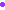 circle01_purple.gif